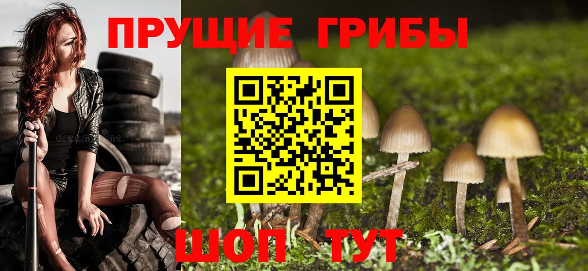 Волгоград  Галлюциногенные грибы Magic Shrooms  Вход с VPN  Галлюциногенные грибы Psilocybine cubensis 