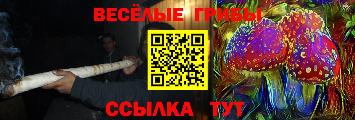 Псилоцибиновые грибы прущие грибы Волгоград