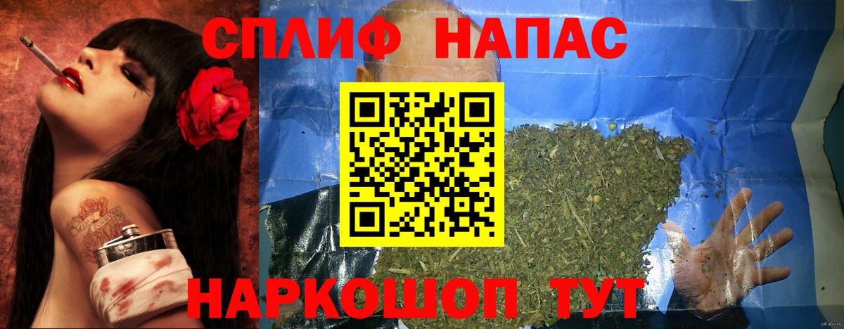 Марихуана планчик  МАРИХУАНА планчик  Вход с VPN  Волгоград 