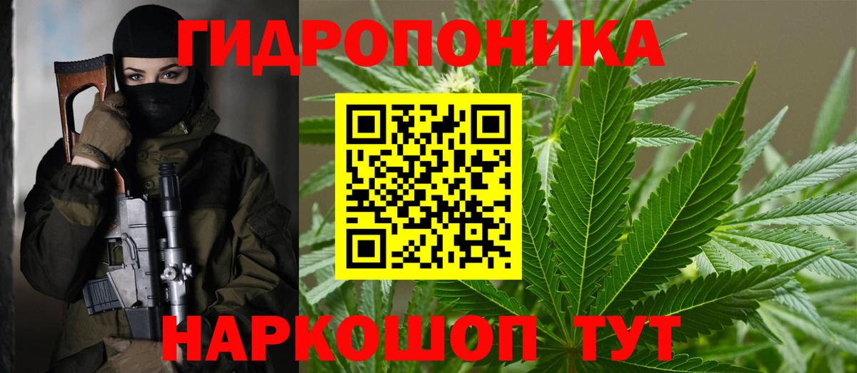 Бошки Шишки Amnesia Волгоград